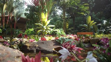 Rental Property Panorama