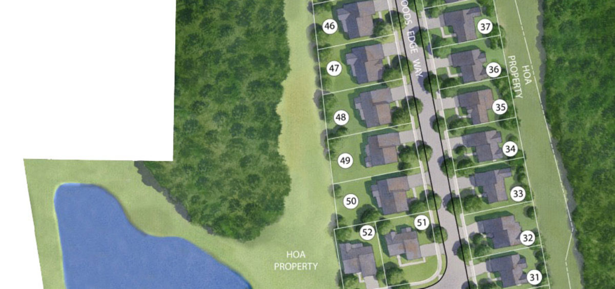 Color & Textured Site Plan